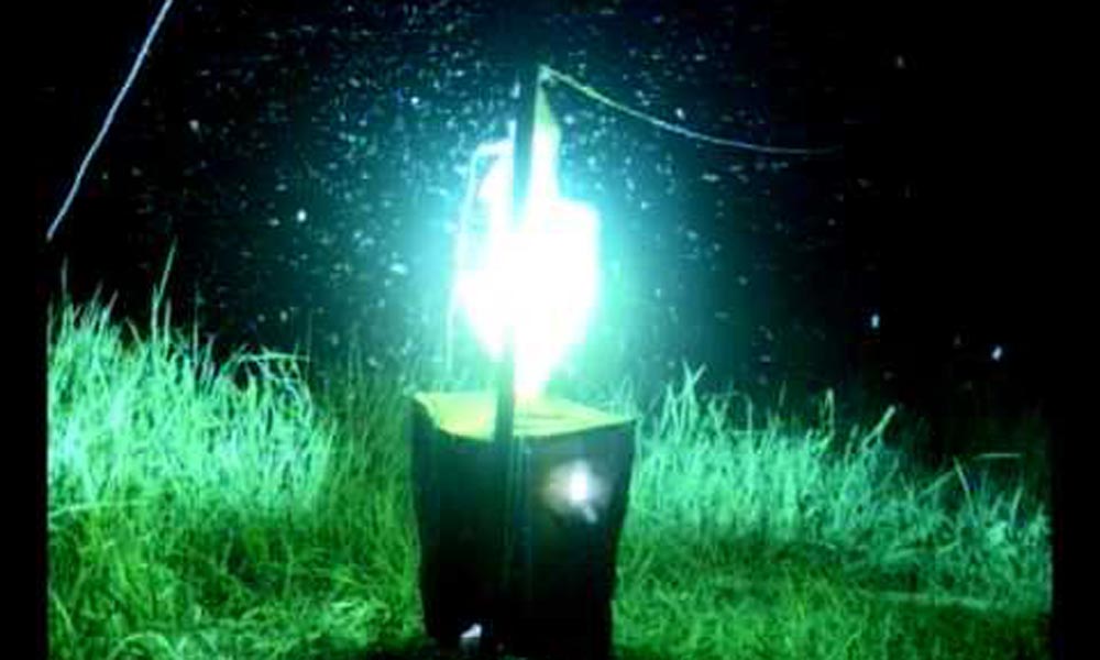 प्रकाश प्रपंच Light Trap