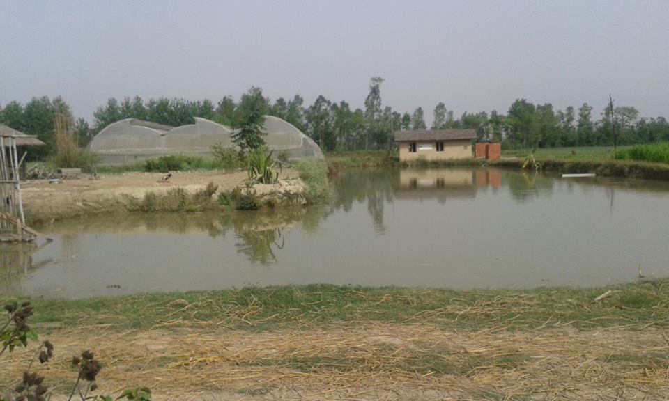 चन्दन आर्गेनिक फार्म्स
