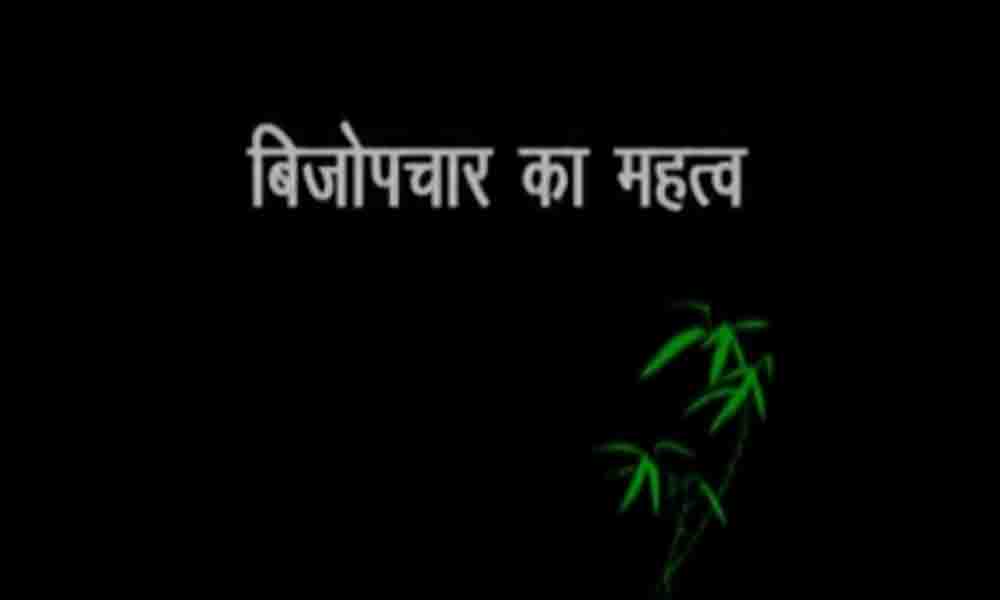 बीजोपचार का कृषि मे महत्व Seed Treatment