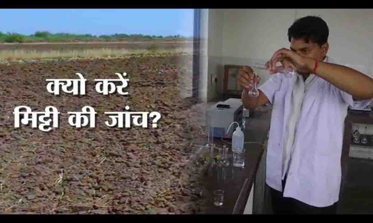 प्रमुख पोषक तत्वो के कार्य व कमी के लक्षण प्रमुख पोषक तत्वो के कार्य व कमी के लक्षण