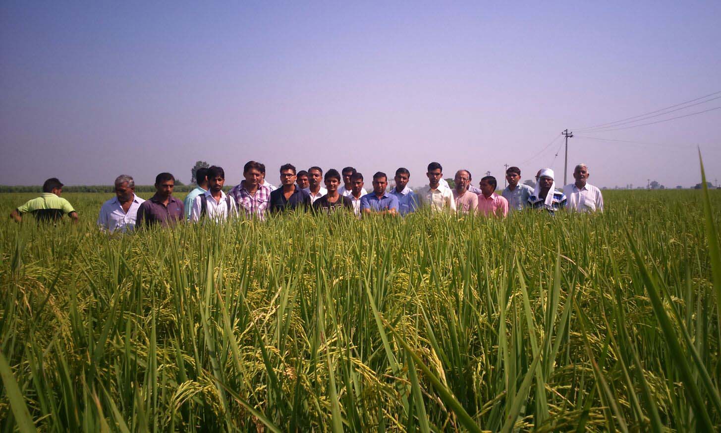 शोभराम स्यामी जैविक कृषि फार्म Organic Modal Farm