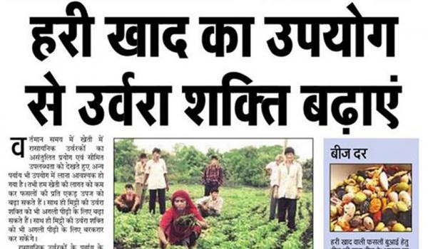 हरी खाद