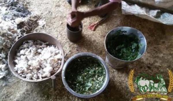 विषमुक्त स्वदेशी कृषि