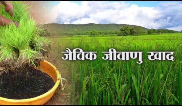जीवाणु खाद Culture Fertilizer