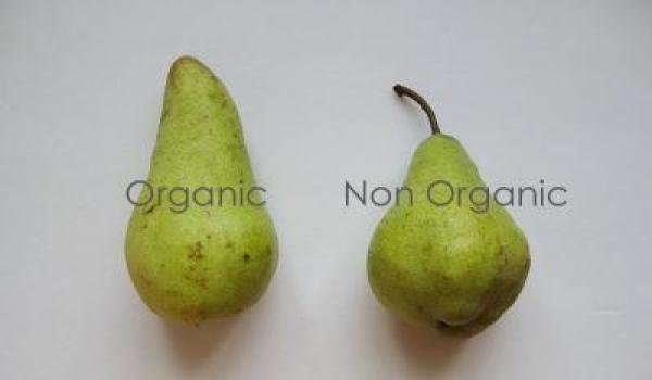 जैविक बनाम रासायनिक खेती Organic vs InOrganic