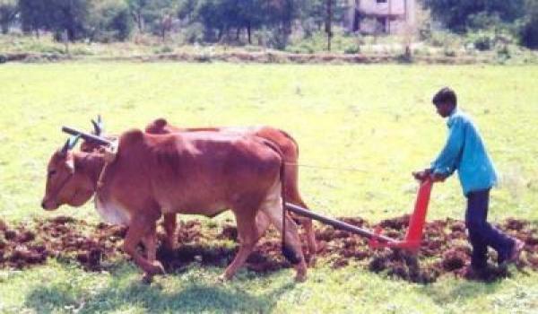 Agricultural Equipment