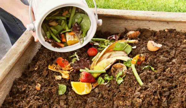कम्पोस्ट खाद Compost