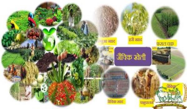 Organic Farming, Farming, Indian Farming, Non-Chemical