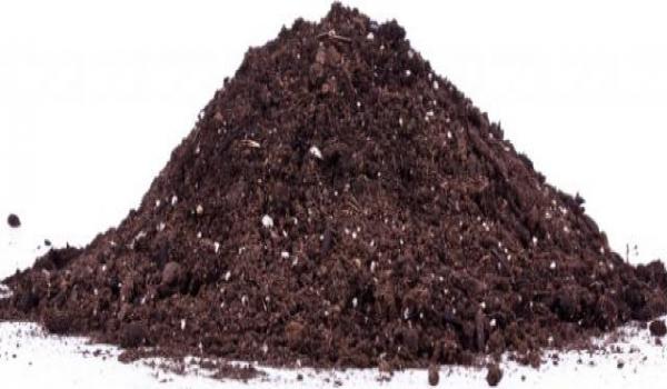 Organic Fertilizer