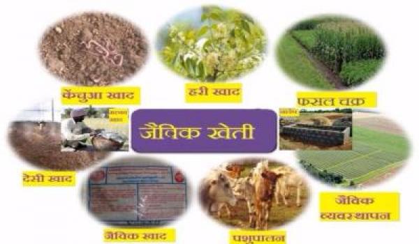 जैविक खेती: प्राकृतिक एवं टिकाऊ खेती Organic Farming
